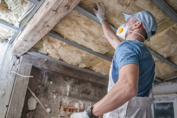 Trusted Midland City, AL Insulation Contractor Experts
